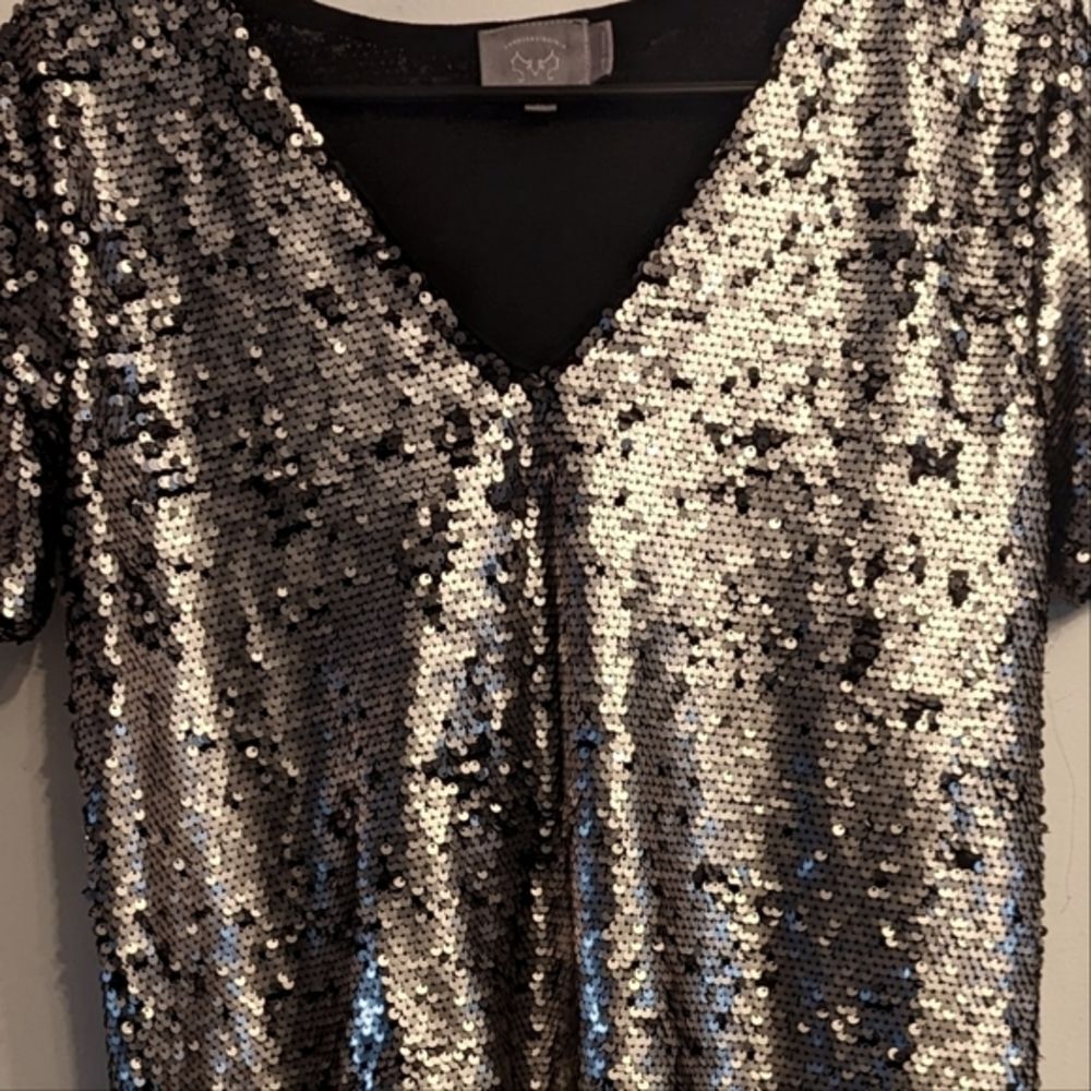 EUC Anthropologie Vanessa Virginia silver sequin short sleeve v neck top